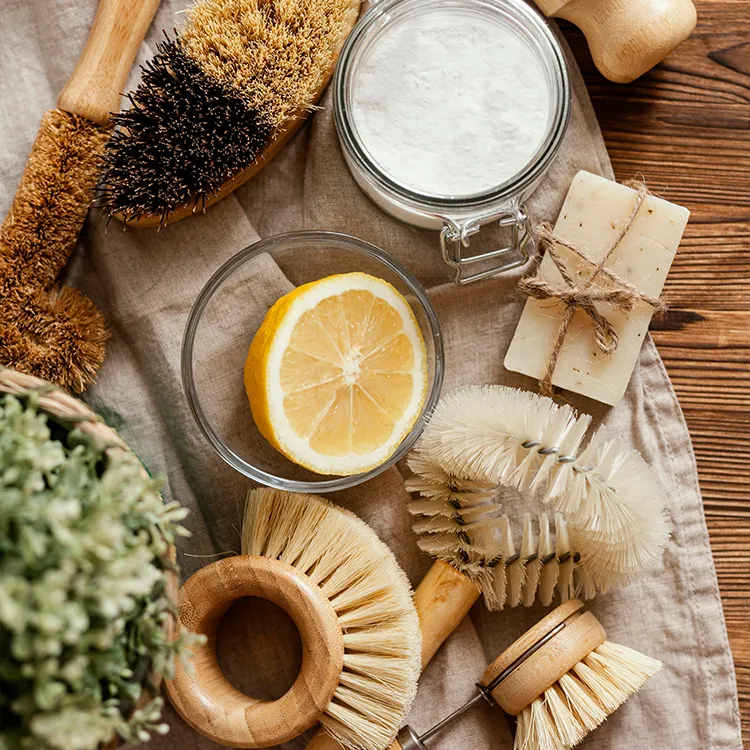 Eco-Friendly Cleaning San Antonio Botanical Maids