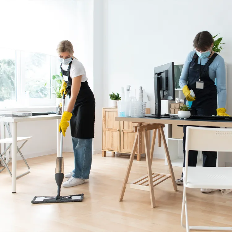 Eco-Friendly Cleaning San Antonio Botanical Maids