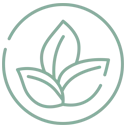 eco friendly cleaning