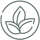 Eco-Friendly Options